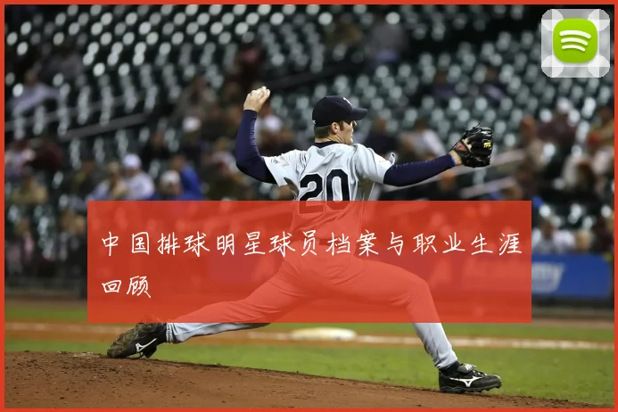 中国排球明星球员档案与职业生涯回顾