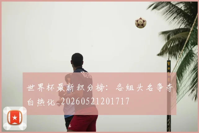 世界杯最新积分榜:各组头名争夺白热化_20260521201717