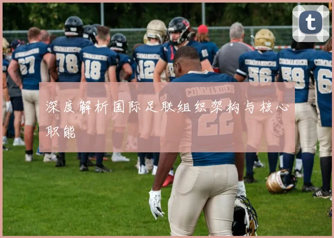 深度解析国际足联组织架构与核心职能